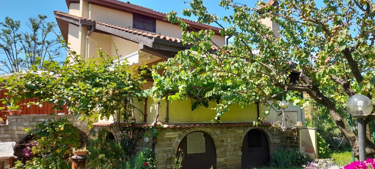 Il Glicine Ξενοδοχείο Sutri Εξωτερικό φωτογραφία